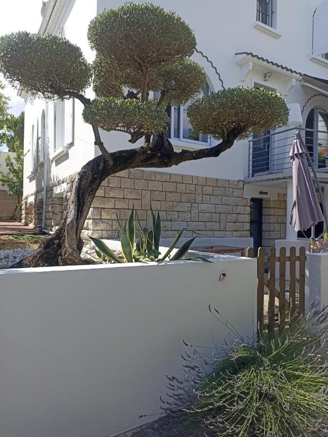 Chambres D'Hotes La Pastourelle Royan Centre Εξωτερικό φωτογραφία